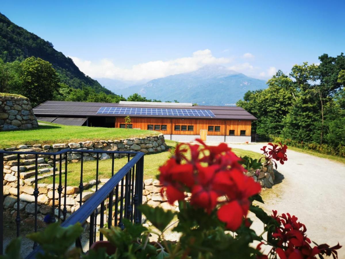 Séjour à la ferme La Ca' D'amelio Lessolo