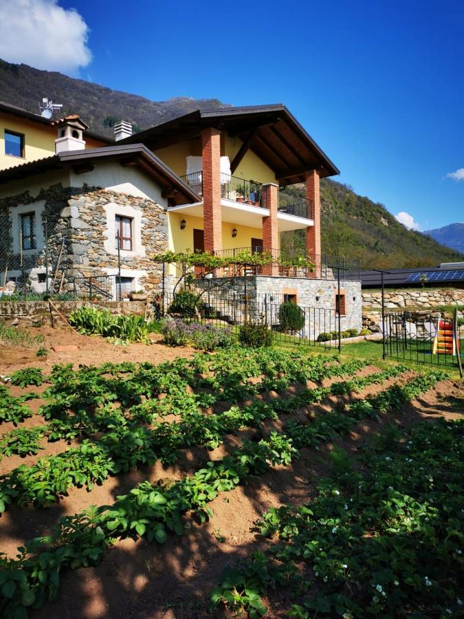La Ca' D'amelio Alojamento de Turismo Rural *